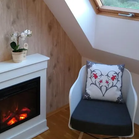 Loft Folk זקופאנה